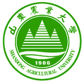 od体育官方平台入口